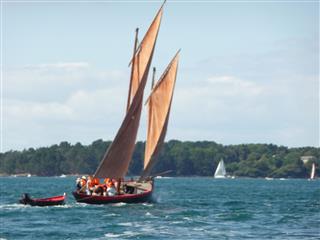 56 - Les sinagos - Golfe Morbihan